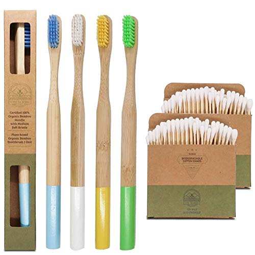 Cepillo de dientes de bambú ecológico y biodegradable | Ma