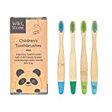 Wild & Stone | Cepillo de dientes de bambú orgánico para niños | Quattro Colori di...